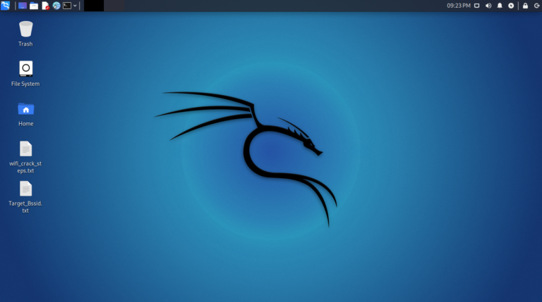 KaliLinux_VM